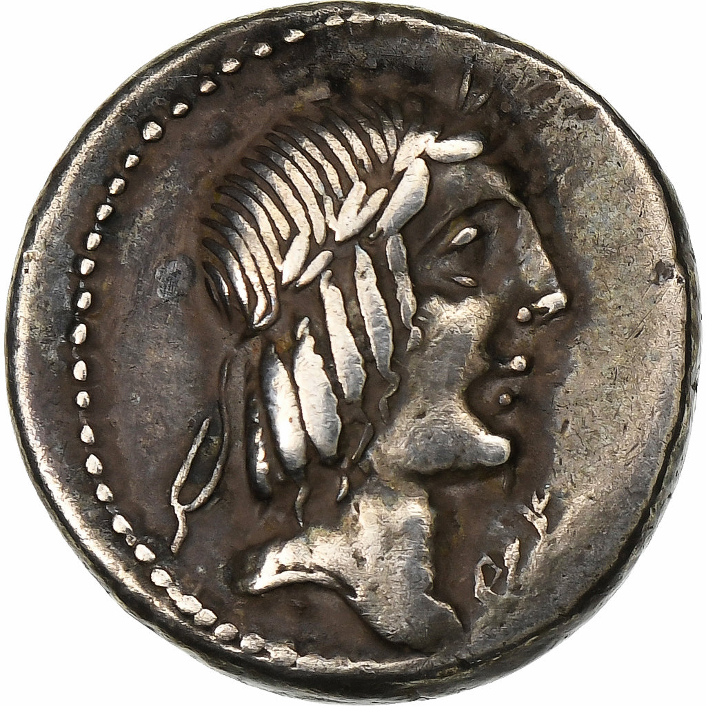 Calpurnia,
Denario,
90 a.C