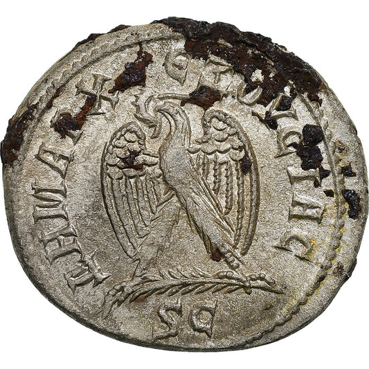 Seleuci e Pieria, 
  
  Otacilia Severa, 
  
  Tetradramma