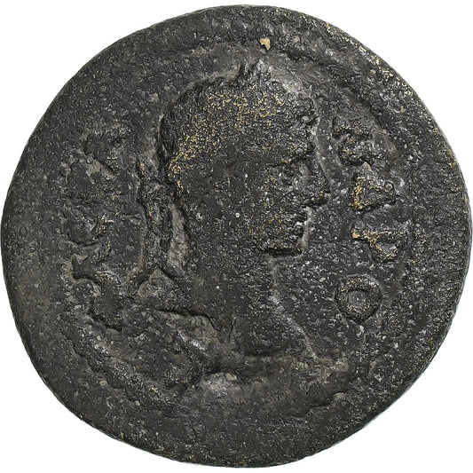Caria, 
  
  Severo Alessandro, 
  
  Æ Unità