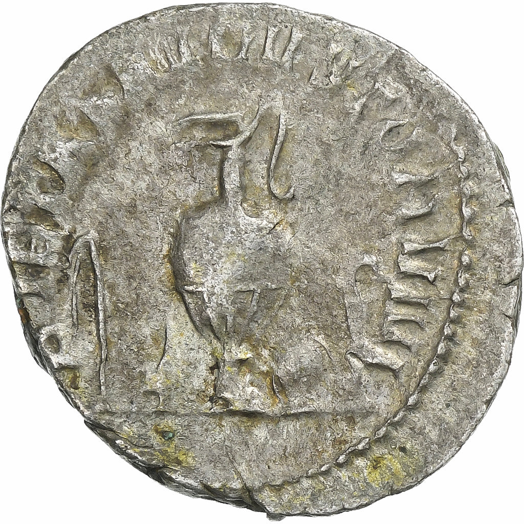 Erennio Etrusco, 
  
  Antoniniano, 
  
  250-251